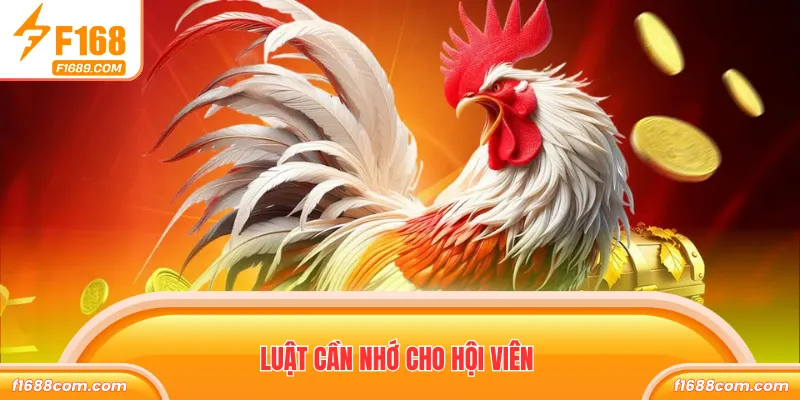 Đá Gà Cựa Sắt - Săn Tiền Thưởng Khủng Hàng Ngày Tại F168 2 Luật cần nhớ cho hội viên